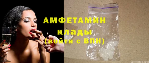 ПСИЛОЦИБИНОВЫЕ ГРИБЫ Каменка