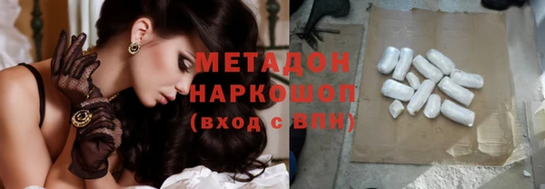ПСИЛОЦИБИНОВЫЕ ГРИБЫ Каменка