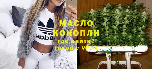 молекула духа Инта