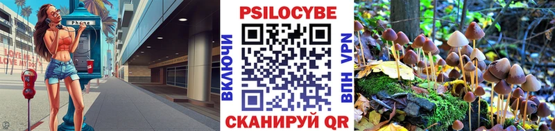 Галлюциногенные грибы Cubensis  где найти наркотики  Ковдор 